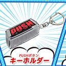 SANKYO PUSH�ܥ��󥭡��ۥ����