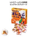 �ӥå��������ޡ��֥륬�ࡡ����� 81828OR