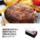 ������������⡡�Ṿ���ȹ��ڤΥϥ�С���5�ĥ��åȡ�50791