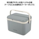 ����ץƥ󥹥��å��������ޥ󥯡��顼�ܥå��������������졼