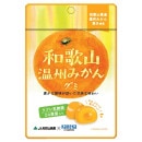 �²λ������ߤ��󥰥�
��֥���������40g