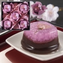 �Ĥ�䡡�֤η뤤����������