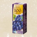 ����ӡ��ե롼�ĥ��쥯�����100�󥸥塼�������졼�ס�45126