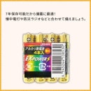 ���륫�괥����EXPOWER 4�ܡ�ñ4����46077