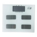 ���ȿ���