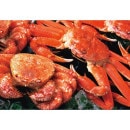 ��������̳����ˤ���٣���