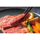 ����������͵����������ơ���