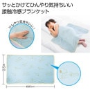 �ե��ߥ꡼����饯�������ܿ��䴶�֥�󥱥å�