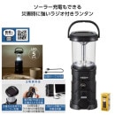 �⥷��˥��ʥ��롡�饸���եޥ����󥿥�