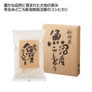 ������»������Ҥ��ꣷ������