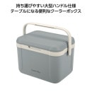 ����ץƥ󥹥��å��������ޥ󥯡��顼�ܥå��������������졼