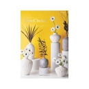 �ե�������祤�����ࡼ�󥹥ȡ���