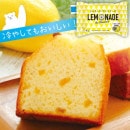 ���͡��ɥѥ���ɥ���������