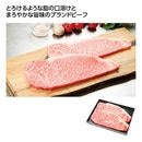 ������ۿ����µ����������󥹥ơ���400g��50825