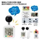 ���弰Ǯ��ɻؿ���