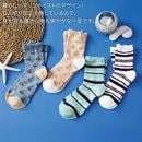 ���ޥƥ� �Ҥ��꥽�å�����47030