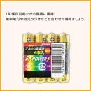 ���륫�괥����EXPOWER 4�ܡ�ñ4����46077