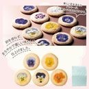 ���ǥ��֥롦�ե롼�롡���å�����47133