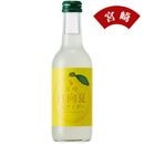 �ڵܺ긩�������ƥ�������245ml��1101152-AS��