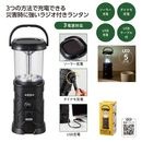 �⥷��˥��ʥ��롡�饸���եޥ����󥿥�