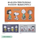 ���̡��ԡ��饤�󡡥Х�������