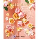 �ץ쥼��ơ����ڥߥ奼�åȡ�
