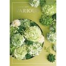�����ꥢ���ڥ����ΥС�