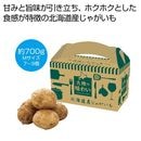 ���Ϥ�̣�襤���̳�ƻ�����㤬���⣷������