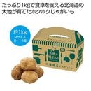 ���Ϥ�̣�襤���̳�ƻ�����㤬���⣱���