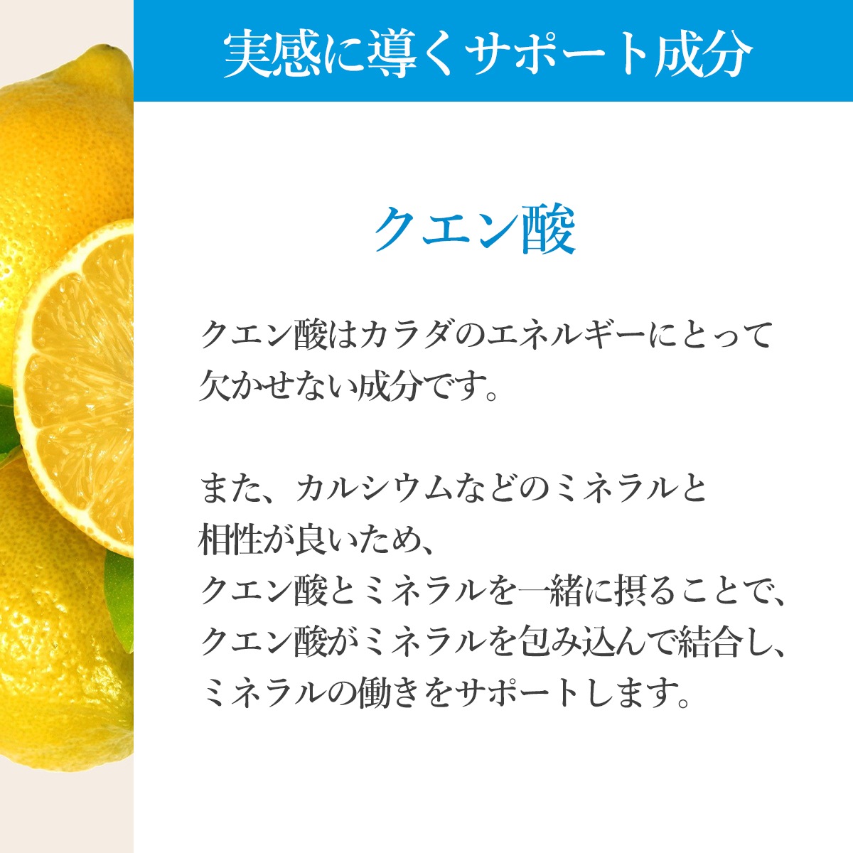 【定期購入】カルシウム/マグネシウム　※配合量を増量してリニューアルました