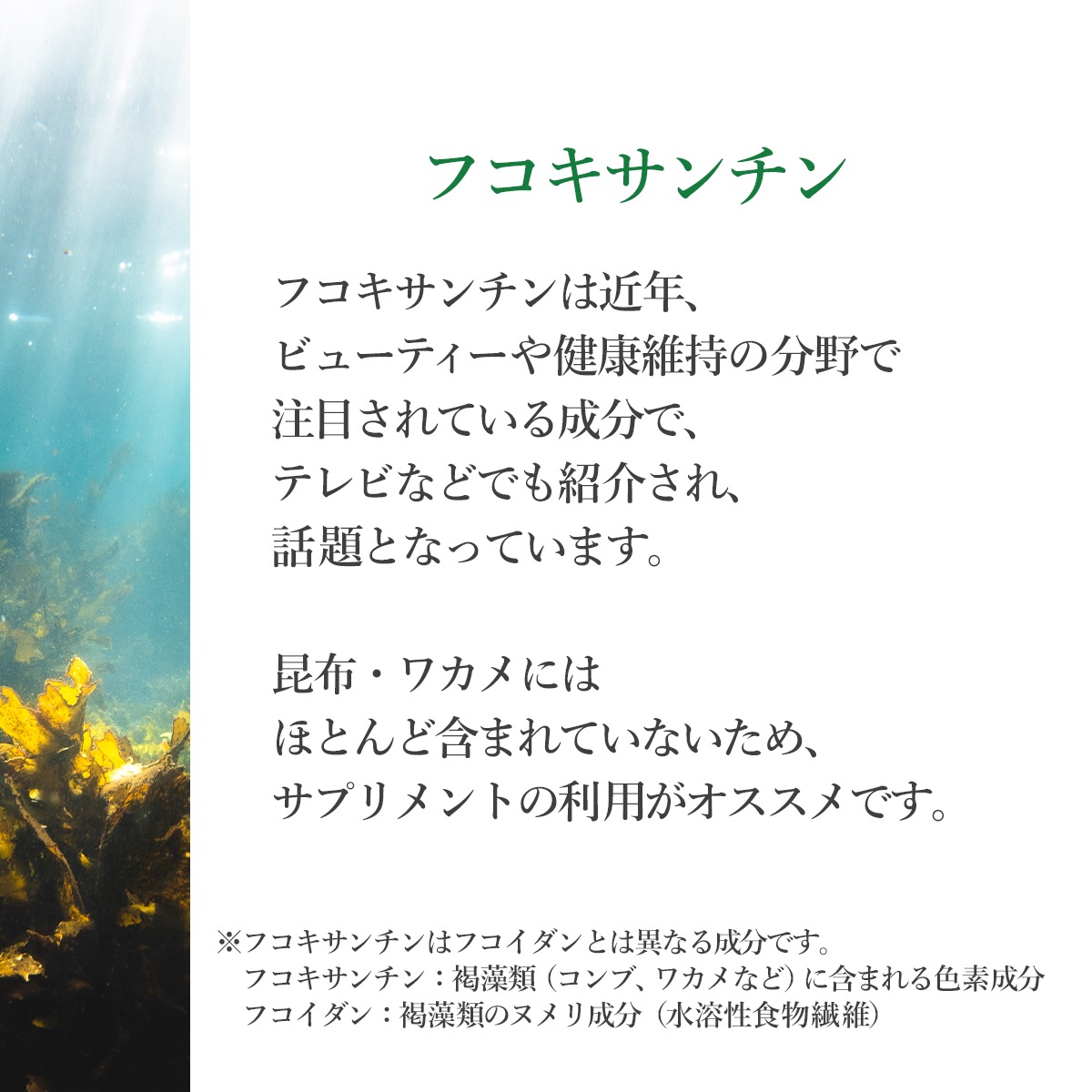 フコキサンチン　3本セット