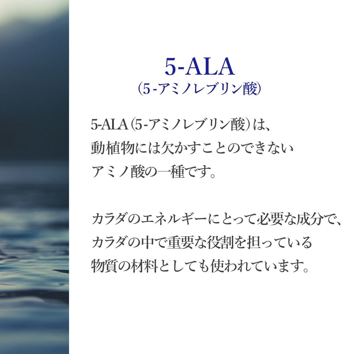 【定期購入】5-ALA（5-アミノレブリン酸）　30カプセル
