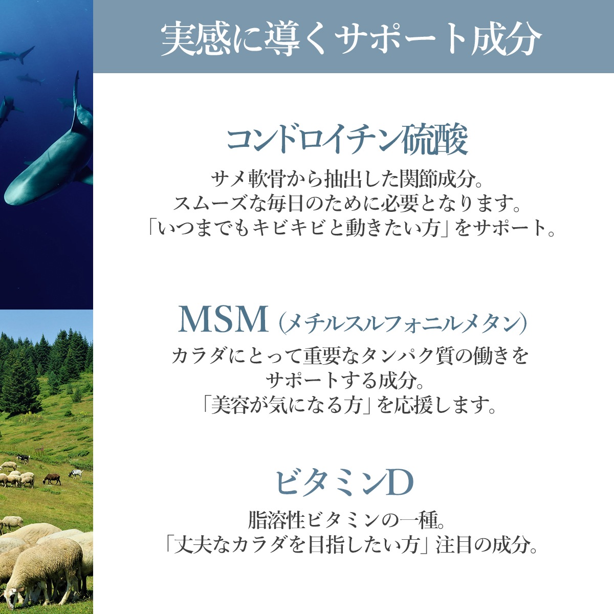 【定期購入】N-アセチルグルコサミン