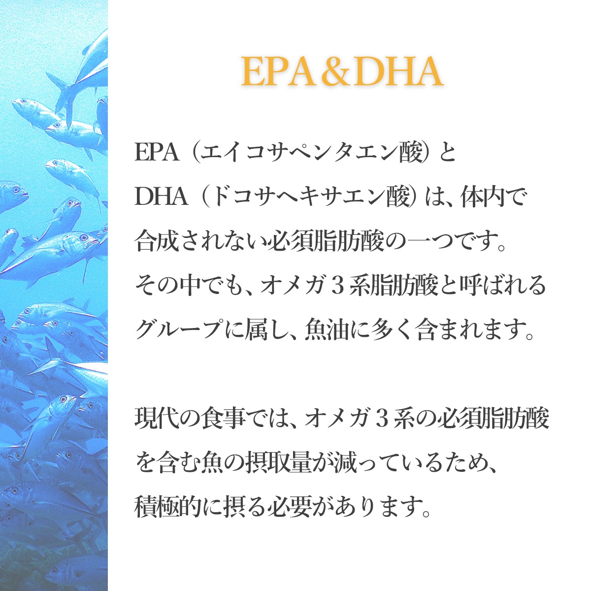 【定期購入】【機能性表示食品】EPA&DHA+