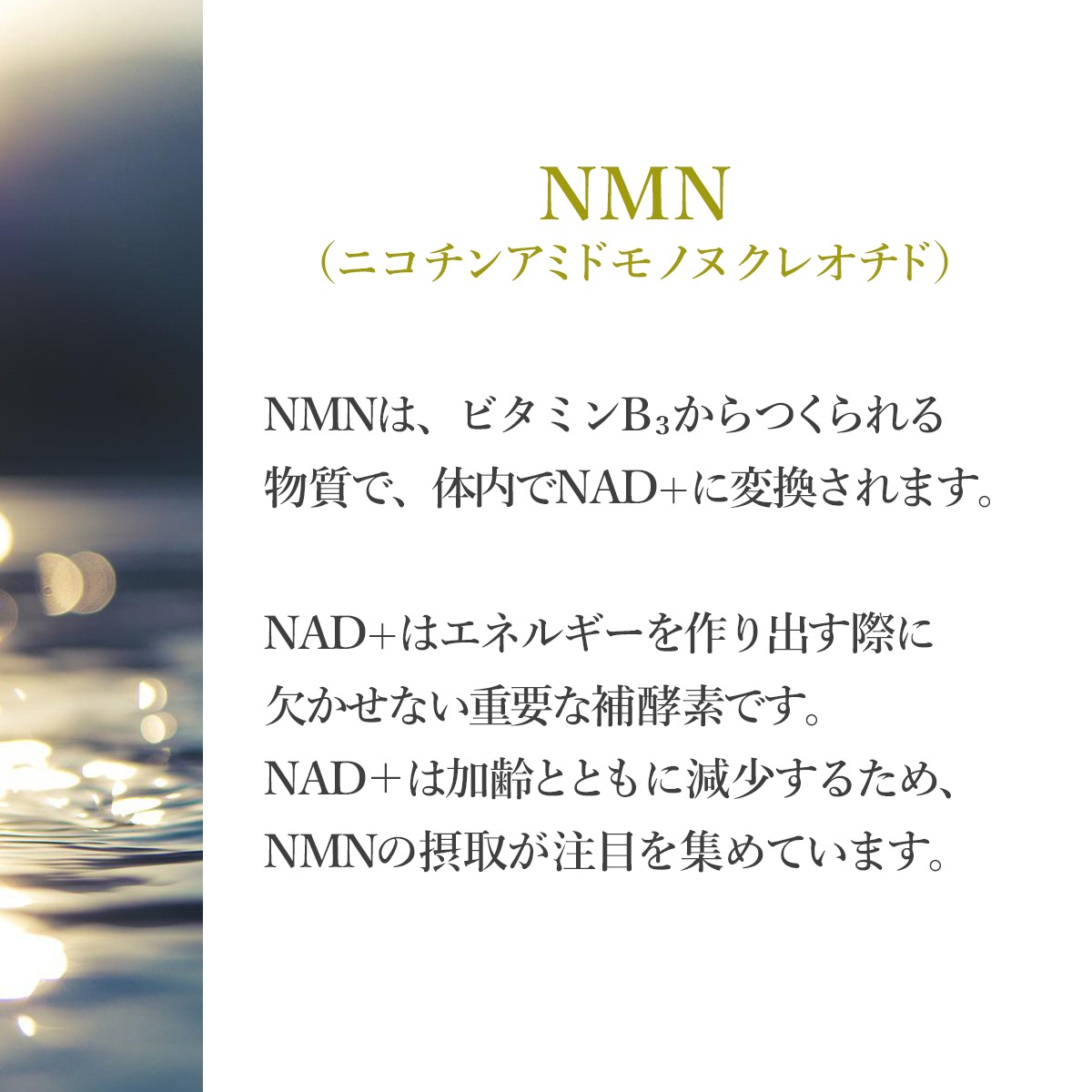 【定期購入】NMN（ニコチンアミドモノヌクレオチド）　18,000ｍg