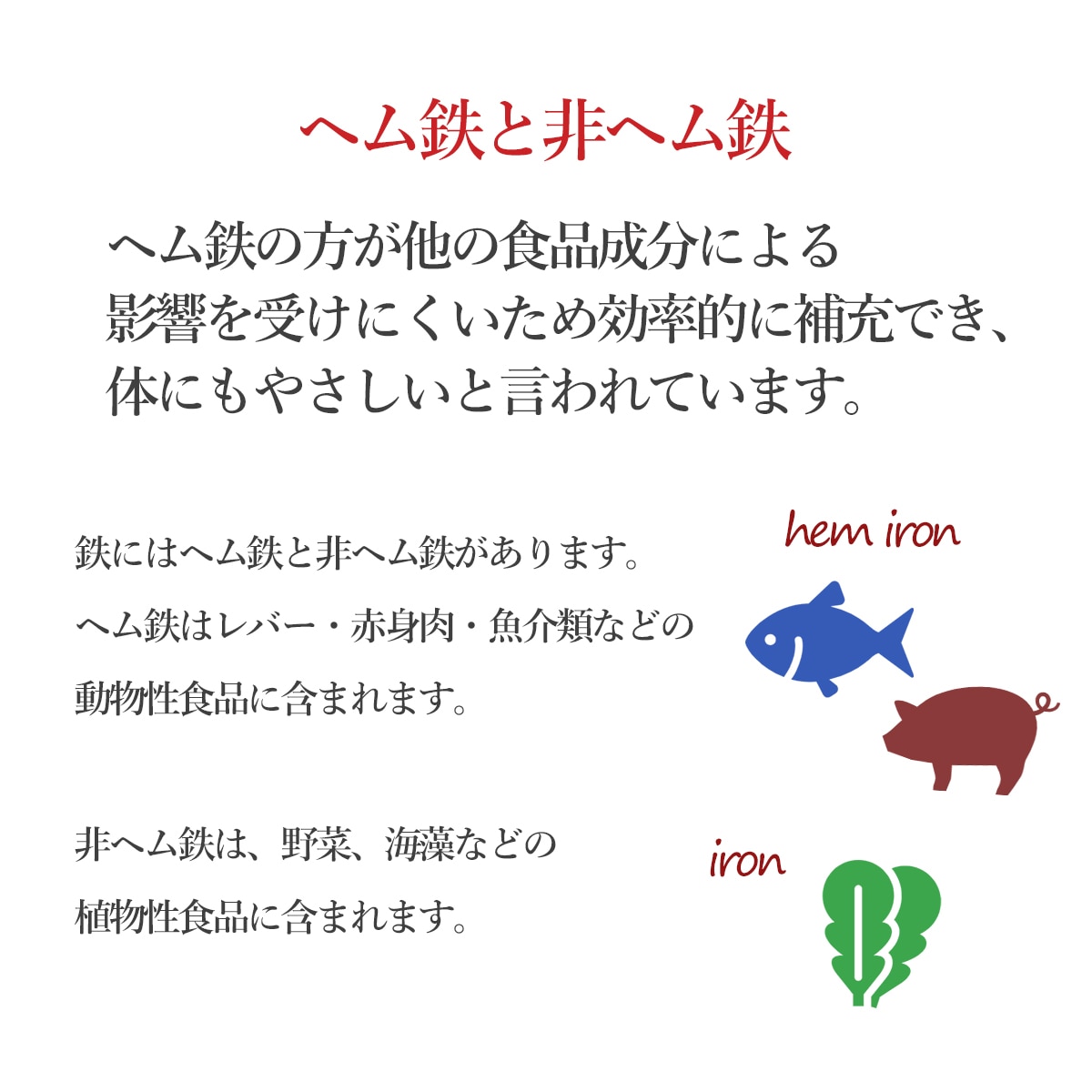 ヘム鉄