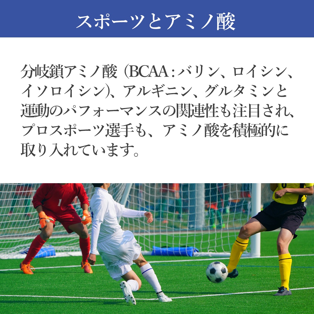 【定期購入】マルチアミノ酸