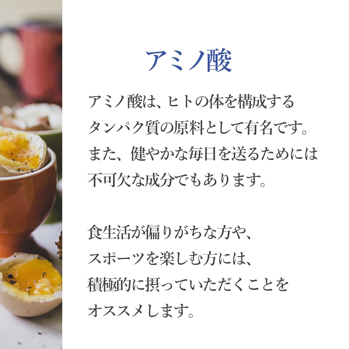 【定期購入】マルチアミノ酸