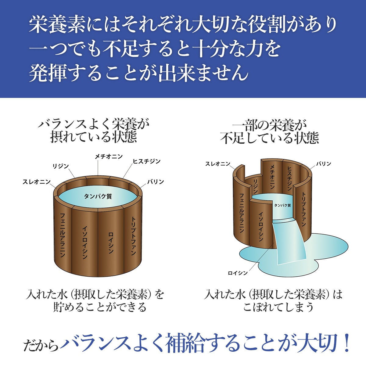 【定期購入】マルチアミノ酸