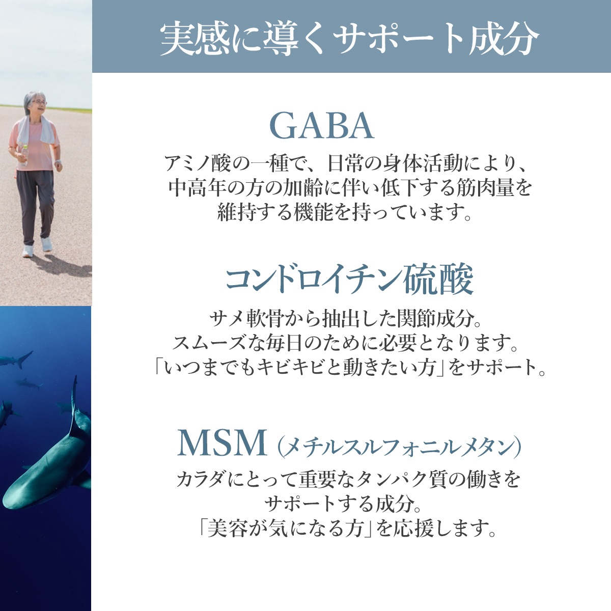 【定期購入】【機能性表示食品】N-アセチルグルコサミン GABA＋