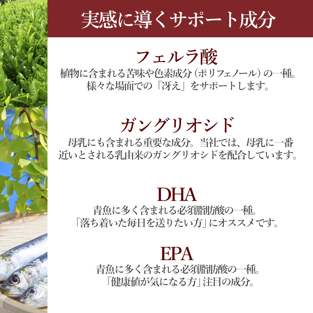 【定期購入】【機能性表示食品】DSMART(ディースマート) イチョウ葉エキス＋