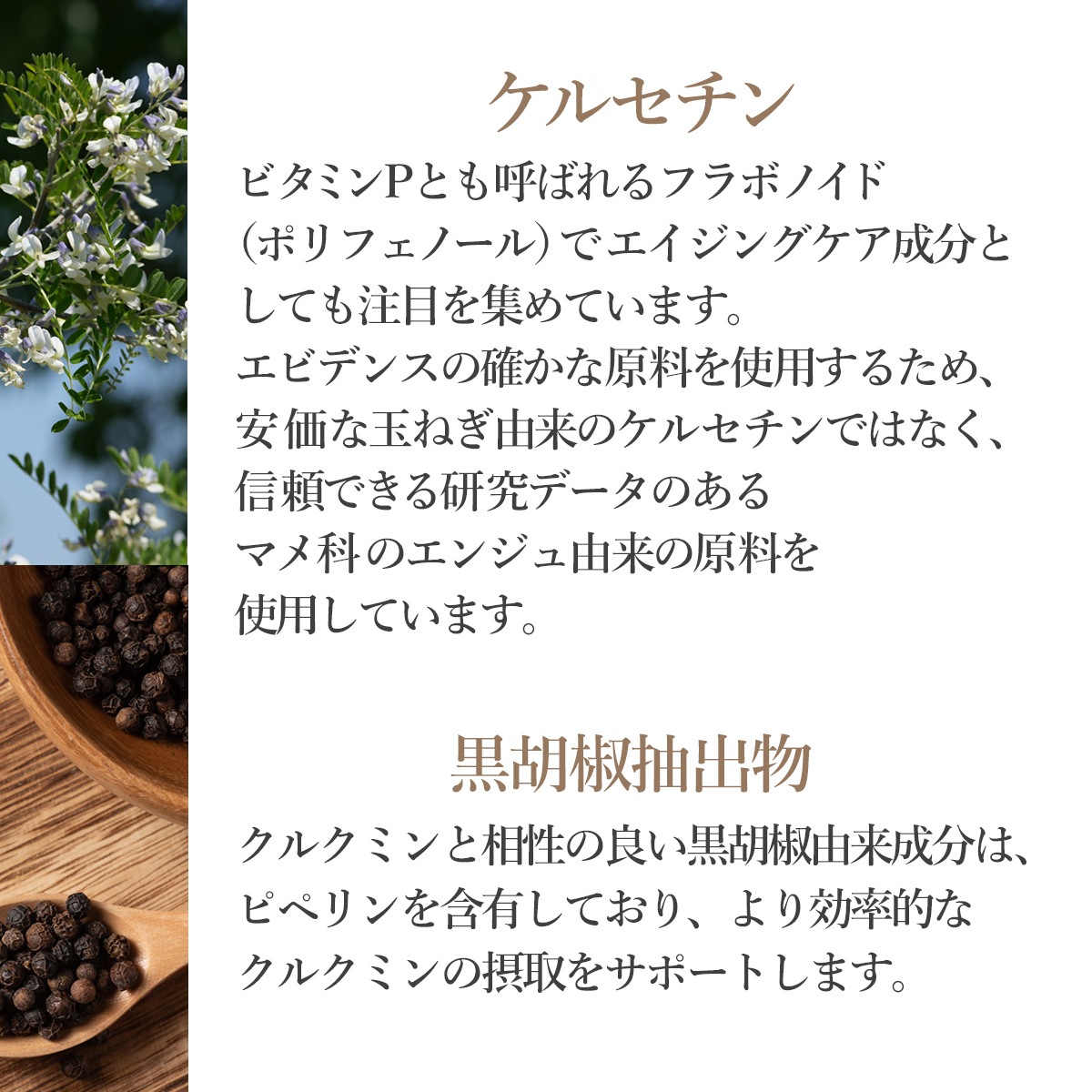 クルクミン ケルセチン+