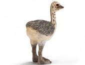 Schleich (シュライヒ) ダチョウ(仔) 14398