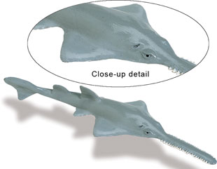 safari (サファリ) ノコギリエイ 211902 | 動物・恐竜フィギュア