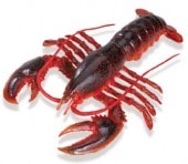 safari (���ե���) ���ߥ��ꥬ�� 281629