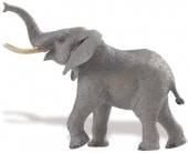 safari (ե) եꥫWW 111089