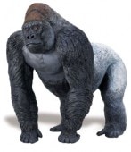 safari (���ե���)  ����С��Хå�WW 111589