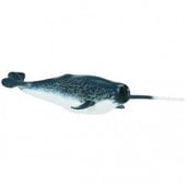 safari (ե) 緿MBå 212202