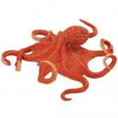 safari (ե) ߥ 267229