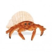 safari (ե) ɥ267529